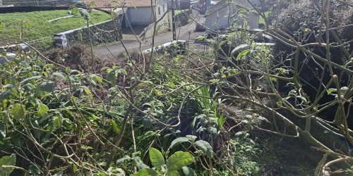 040839a5-8a90-4091-b4ef-c79de9fc39c8