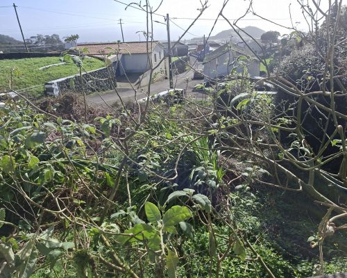 040839a5-8a90-4091-b4ef-c79de9fc39c8