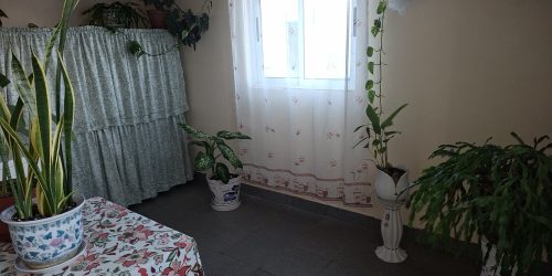 099b5137-8572-450b-a9e2-d1cf7f20b49a