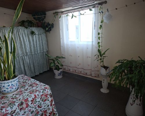 099b5137-8572-450b-a9e2-d1cf7f20b49a