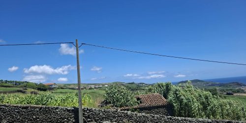 0df103df-83b8-47c4-b66e-4f1f6758a5f4