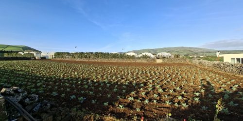 13ee5d90-eef2-4b5d-9541-7b310299c0fa