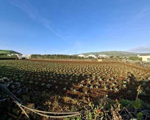 13ee5d90-eef2-4b5d-9541-7b310299c0fa