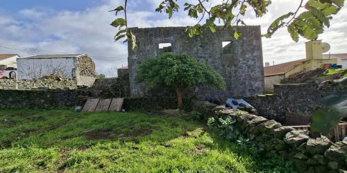 13f47978-7397-47ec-a6d4-85e6dee2ee91