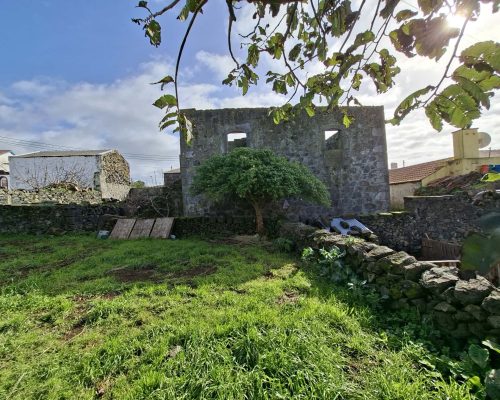 13f47978-7397-47ec-a6d4-85e6dee2ee91