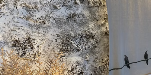 17c305_28cc18de70d9413bace1652182036195mv2