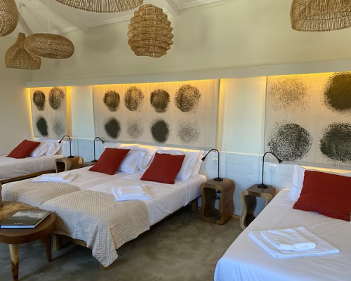 17c305_6bb2999558d74f77896af06ae6ecb5e3mv2