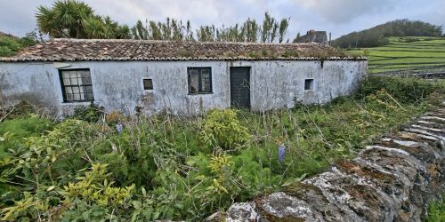 2c4da4d8-2f42-4638-b04a-58c296a78ded