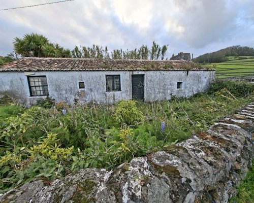 2c4da4d8-2f42-4638-b04a-58c296a78ded