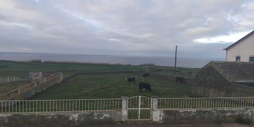 4650ac58-85b7-4dd2-a5b2-24a7ea046c1d