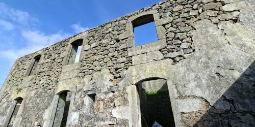 55a205cf-2398-4576-8569-fb68bc1be5e2