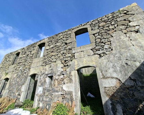 55a205cf-2398-4576-8569-fb68bc1be5e2