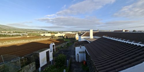 66d090af-3e9a-40ec-a1ca-3c86122d85f1