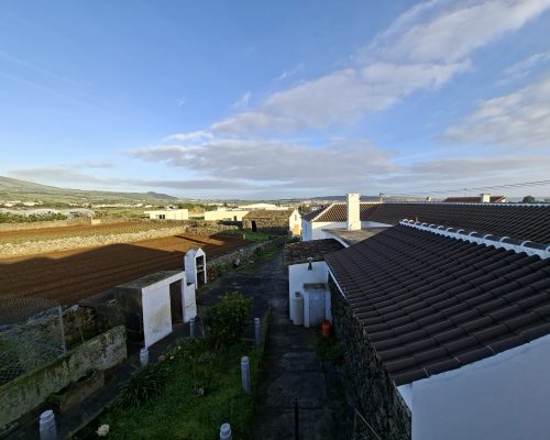 66d090af-3e9a-40ec-a1ca-3c86122d85f1