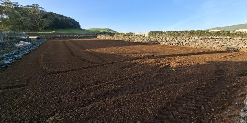 7e51d909-efd7-49ed-ba94-689f76d196bd