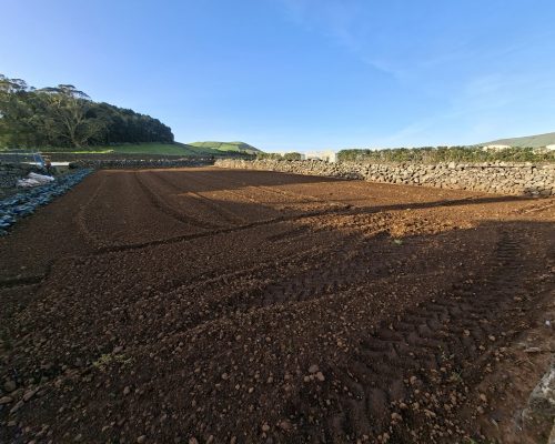 7e51d909-efd7-49ed-ba94-689f76d196bd