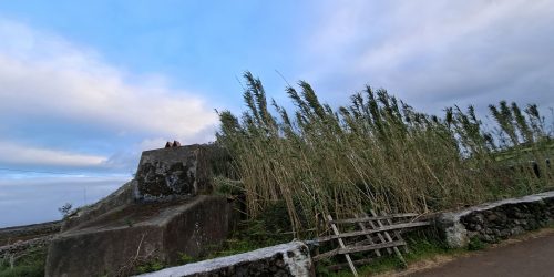 88c58a42-cdd6-45cb-87ba-719ffc3db72a