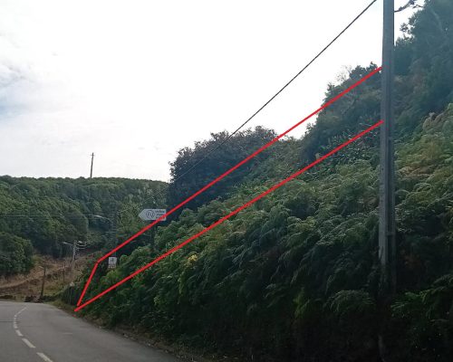 IMG-20240926-WA0048
