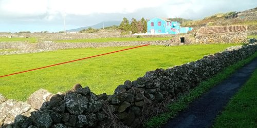 IMG-20241119-WA0007