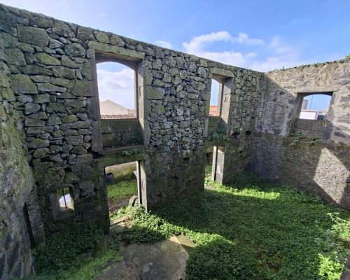 ac997a5c-00cc-4244-8881-ee6b1d1c1e82