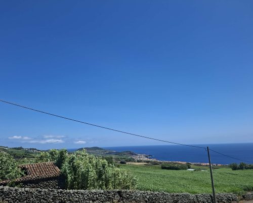 ad5d7484-4d6e-4f84-b079-3549b541a7fa
