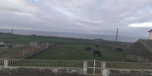 b61db7da-2073-4a57-92c0-d49ac87af1a6