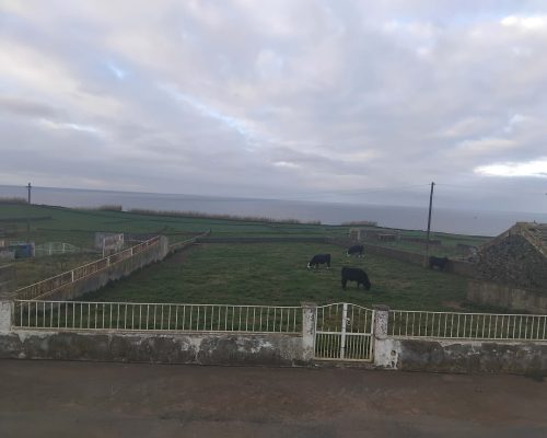 b61db7da-2073-4a57-92c0-d49ac87af1a6