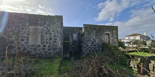 c96b6b6a-5c6d-4680-a843-b5c411ace001