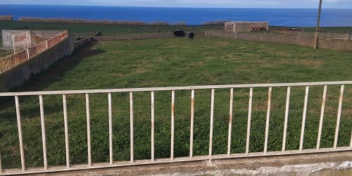 cbb9ed1b-dca2-42f0-9a07-fdc4093df3d1