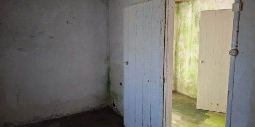 d1b8d3d4-176f-423a-8c36-de4dca969dd5