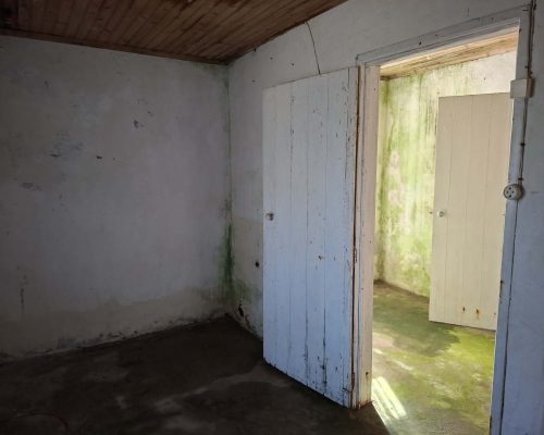 d1b8d3d4-176f-423a-8c36-de4dca969dd5