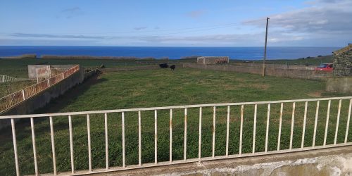 e31f3925-bbbd-4781-89c9-1b79d9e599a9