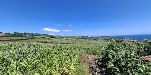 e35615d7-7788-4249-a285-4c0212953459