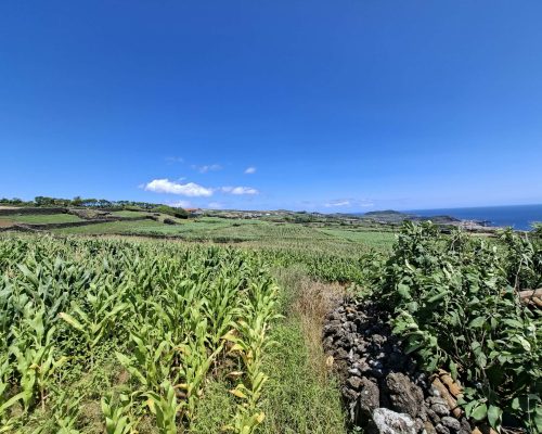 e35615d7-7788-4249-a285-4c0212953459