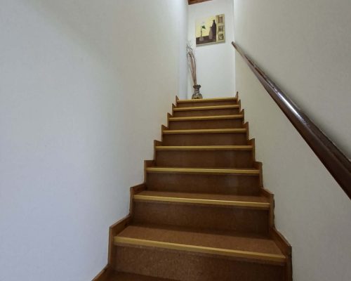 f1ed5a20-3a94-46bd-9364-12a07780a5ac